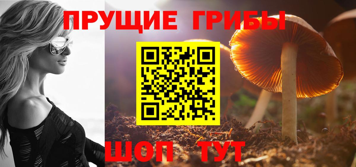 Псилоцибиновые грибы прущие грибы Михайловка