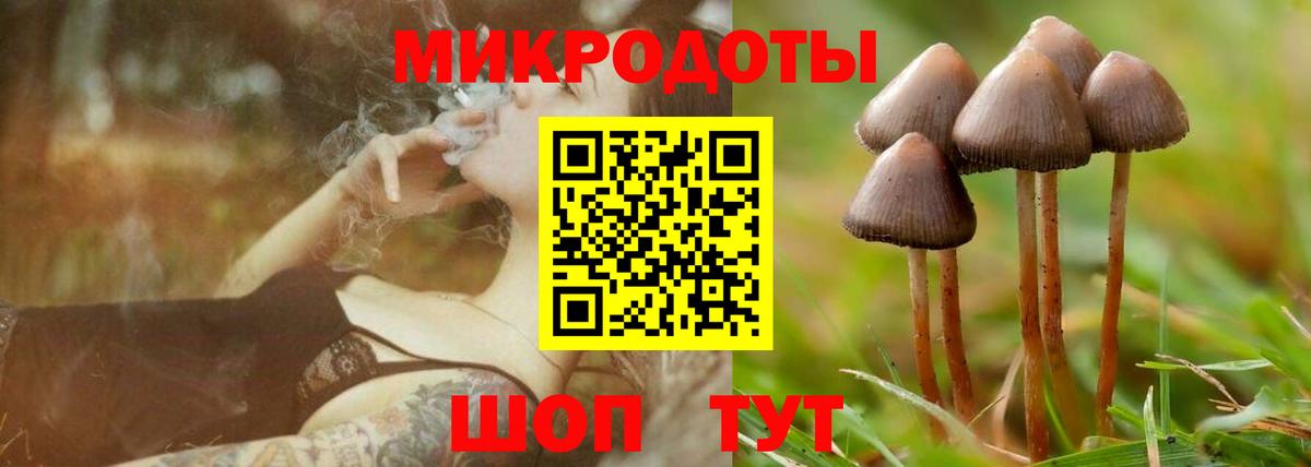 цена   Вход с VPN  Михайловка  Псилоцибиновые грибы Psilocybe 